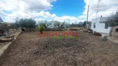 Rustic Finca in La Galia-Bonavista photo 47