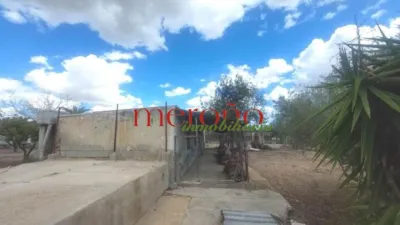 Rustic Finca in La Galia-Bonavista photo 49