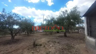 Rustic Finca in La Galia-Bonavista photo 50