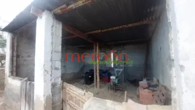 Rustic Finca in La Galia-Bonavista photo 51
