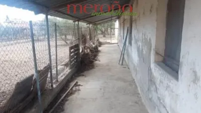 Rustic Finca in La Galia-Bonavista photo 56