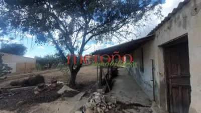 Rustic Finca in La Galia-Bonavista photo 57