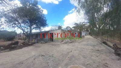 Rustic Finca in La Galia-Bonavista photo 58