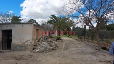 Rustic Finca in La Galia-Bonavista photo 59