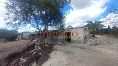 Rustic Finca in La Galia-Bonavista photo 61