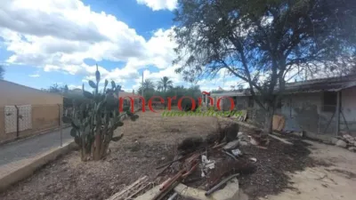 Rustic Finca in La Galia-Bonavista photo 62