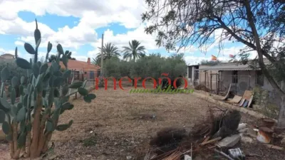Rustic Finca in La Galia-Bonavista photo 63