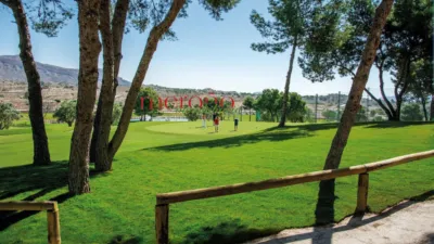 Apartment in Alenda Golf photo 23