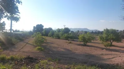 Rustic Finca in Matola photo 17
