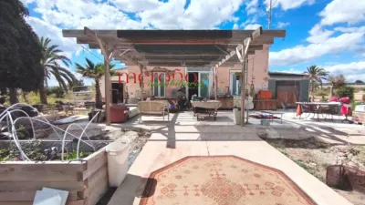 Casa – Elx - Elche - Vista 3