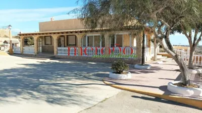 Casa – Elx - Elche - Vista 5
