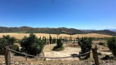 House in South Of Spain photo 30
