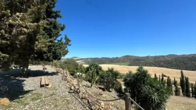 House in South Of Spain photo 31