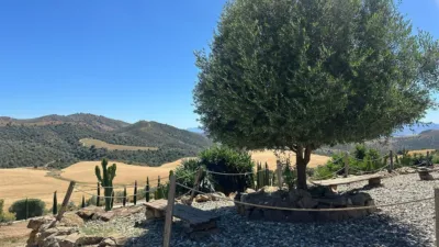 House in South Of Spain photo 32