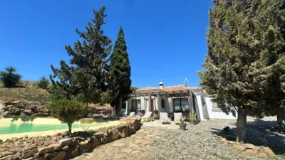 House in South Of Spain photo 8