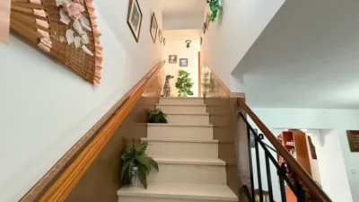 House in Atalaya photo 31
