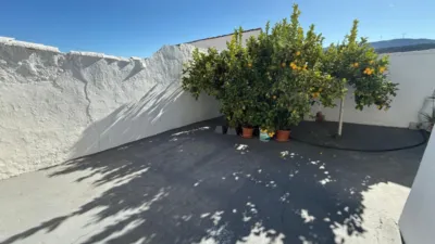 House in Atalaya photo 38