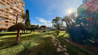 Apartment on Calle del Cap de Ponent photo 3