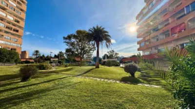 Apartment on Calle del Cap de Ponent photo 4