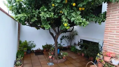 Chalet in Los Pacos photo 5