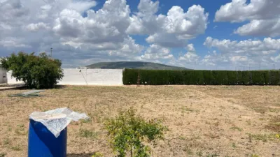 House in Andalucia photo 12