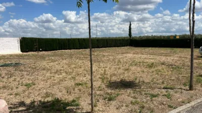 House in Andalucia photo 6
