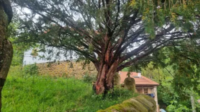 photo 43