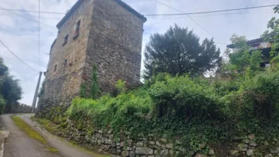 House - Más