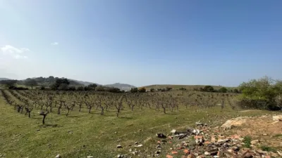 Rustic Finca on Camino Viejo, 1 photo 12
