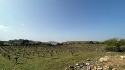Rustic Finca on Camino Viejo, 1 photo 13