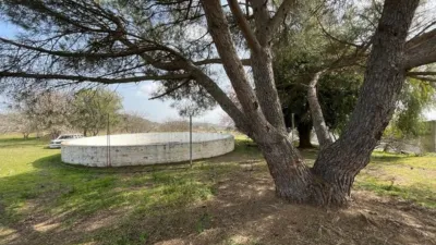 Rustic Finca on Camino Viejo, 1 photo 15