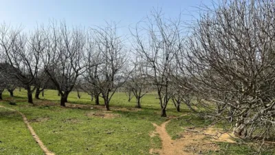 Rustic Finca on Camino Viejo, 1 photo 16