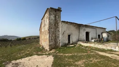 Rustic Finca on Camino Viejo, 1 photo 17