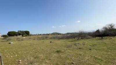 Rustic Finca on Camino Viejo, 1 photo 18