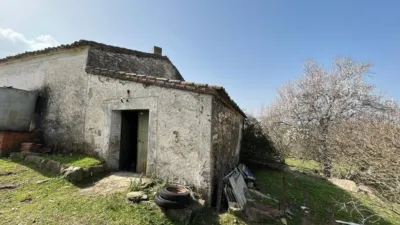 Rustic Finca on Camino Viejo, 1 photo 23