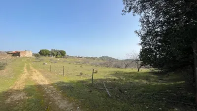 Rustic Finca on Camino Viejo, 1 photo 24