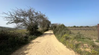 Rustic Finca on Camino Viejo, 1 photo 25