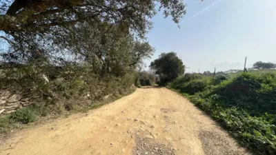 Rustic Finca on Camino Viejo, 1 photo 26
