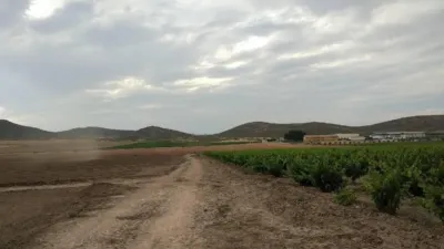Rustic farm in Jumilla photo 3