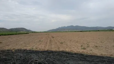 Rustic farm in Jumilla photo 4