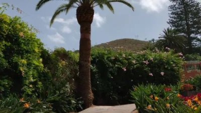 Piso en alquiler en Calle Casa del Gallo, 1, Tafira (Las Palmas de Gran Canaria) de 2.200 €<span>/mes</span>