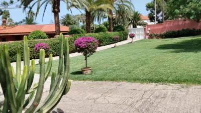Piso en alquiler en Calle Casa del Gallo, 1, Tafira (Las Palmas de Gran Canaria) de 2.200 €<span>/mes</span>
