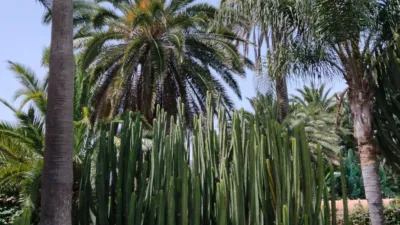 Piso en alquiler en Calle Casa del Gallo, 1, Tafira (Las Palmas de Gran Canaria) de 2.200 €<span>/mes</span>