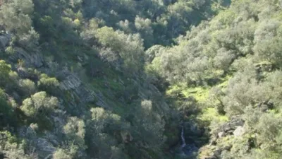 Finca rústica en venta en Alcántara - Vista 4