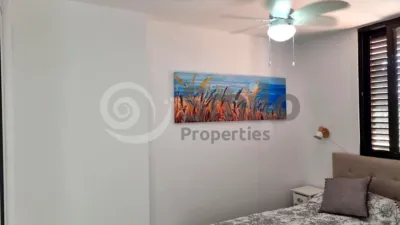 Apartment on Calle Diana, 8 photo 13