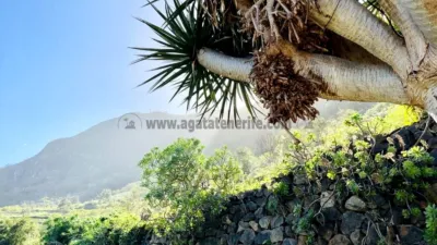 Rustic finca on Calle Tigaiga photo 28