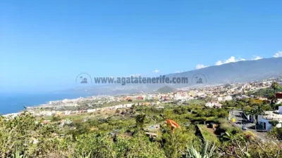 Rustic finca on Calle Tigaiga photo 29