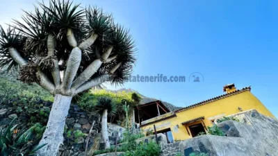 Rustic finca on Calle Tigaiga photo 30