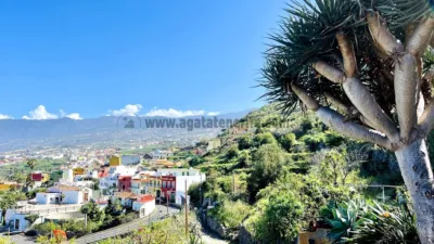 Rustic finca on Calle Tigaiga photo 38