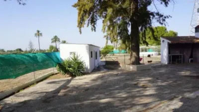 Casa – Elx - Elche - Vista 5